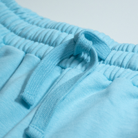 FlippedLab shorts 