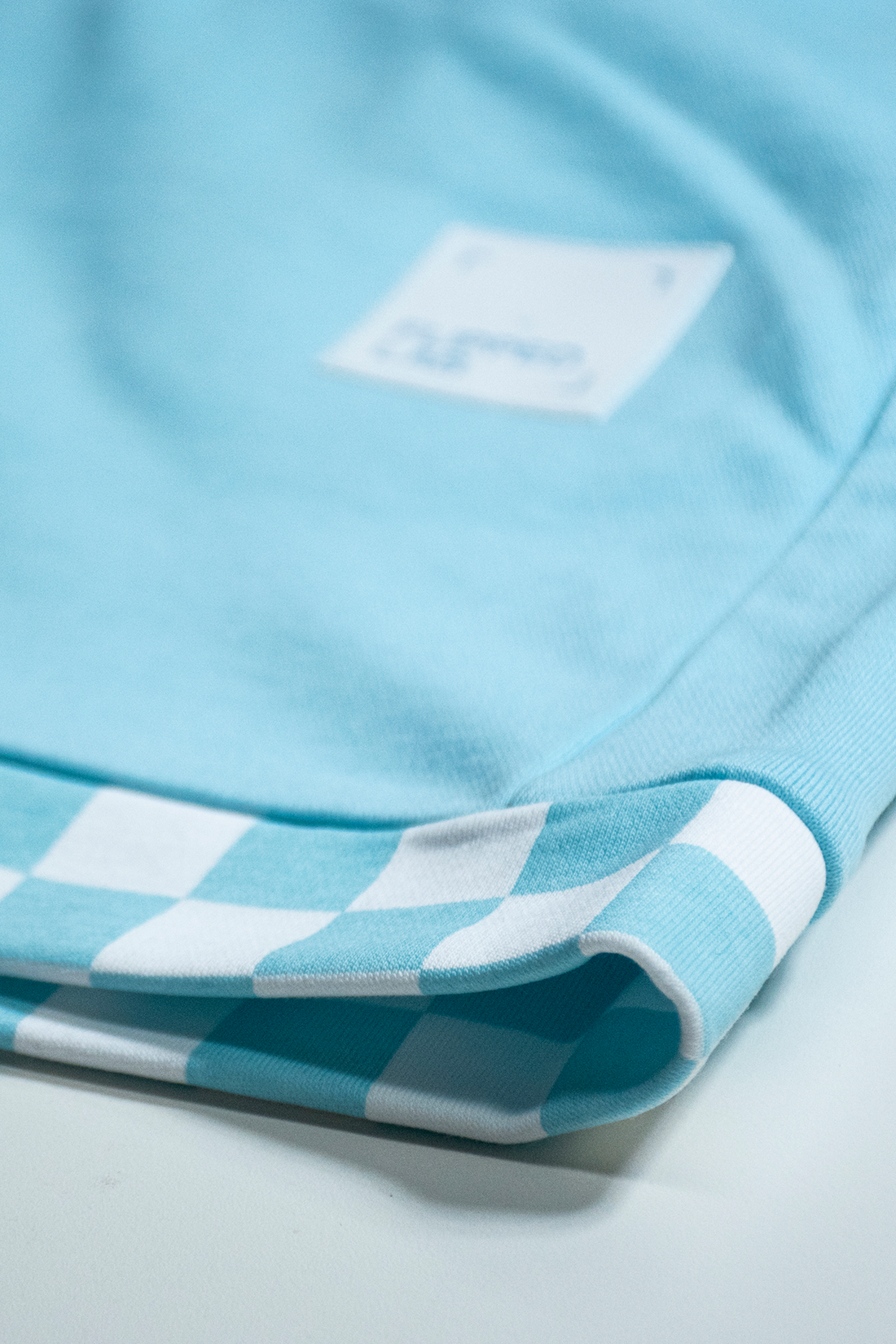 FlippedLab shorts 
